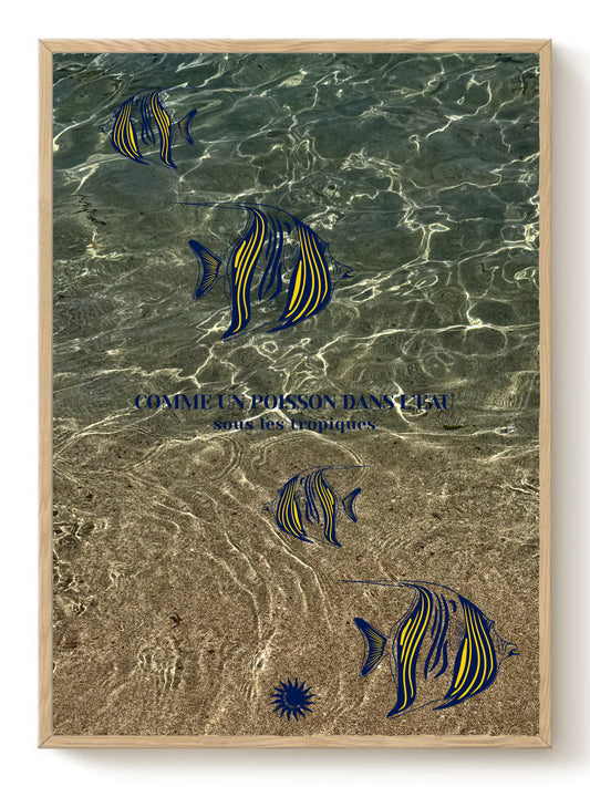 Comme un poisson